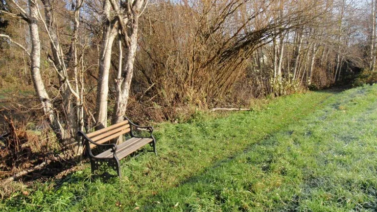 En benk ved natursti
