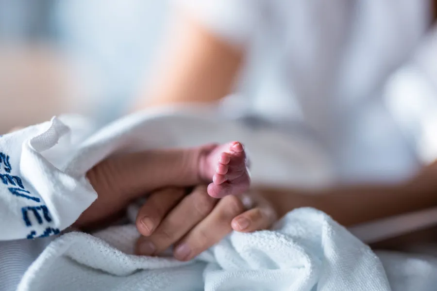 A close-up of a baby's hand