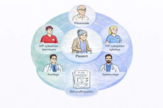 Illustrasjon av involverte instanser og verktøy i VIP-prosjektet