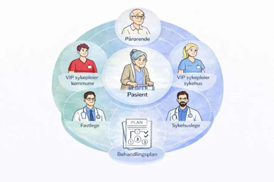 Illustrasjon av involverte instanser og verktøy i VIP-prosjektet