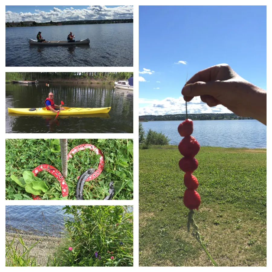 Aktiviteter på vannet, hesteskokasting og strå med jordbær, collage.