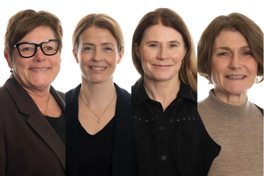 Fire nye klinikkdirektører, collage med fire portrettbilder.