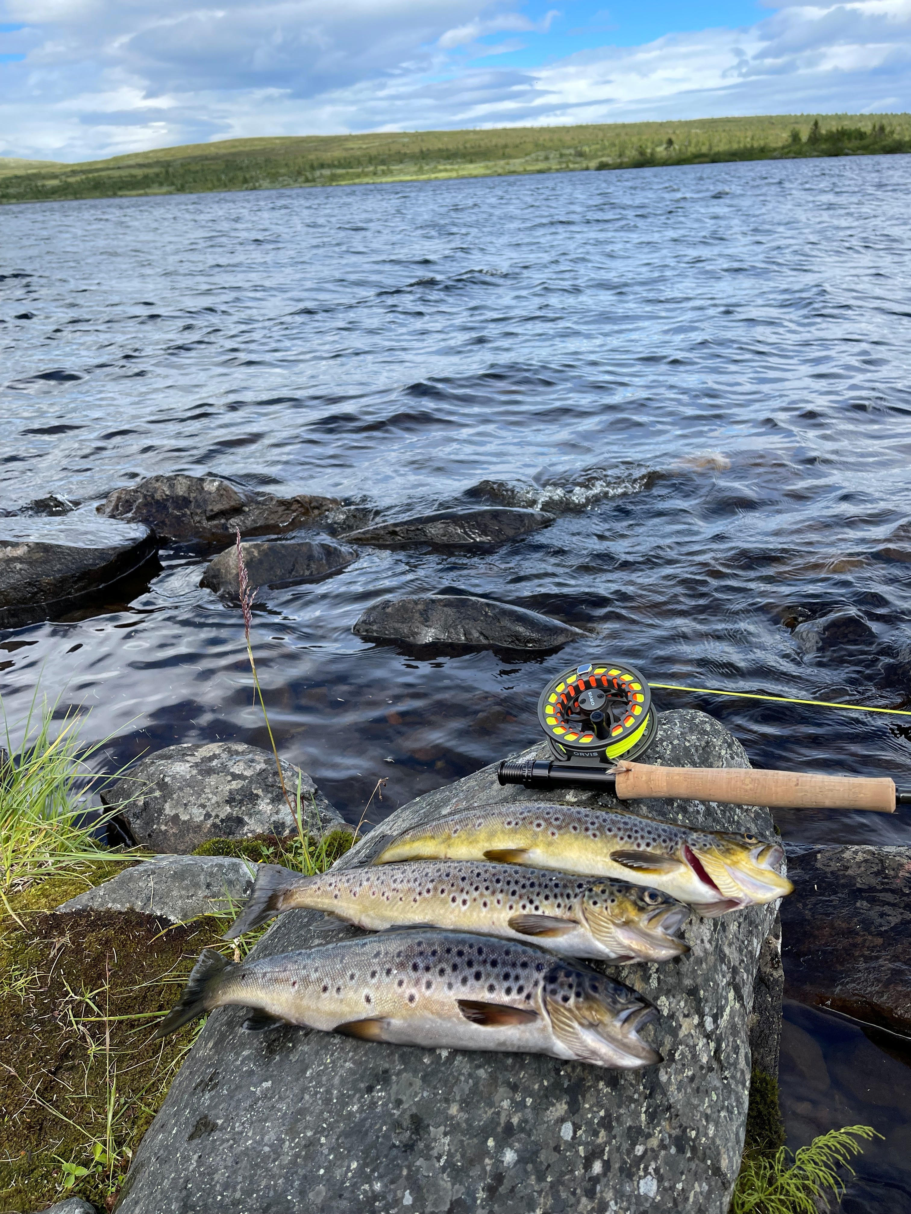 Fisker på en stein ved et vannområde