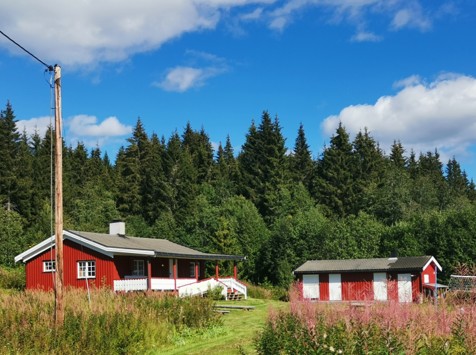 Røde bygninger med skog og blå himmel i bakgrunn