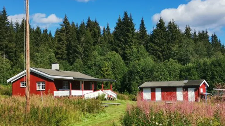 Røde bygninger med skog og blå himmel i bakgrunn