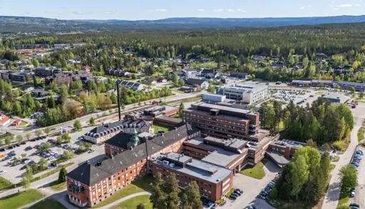 Sykehuset i Elverum sett fra oven.
