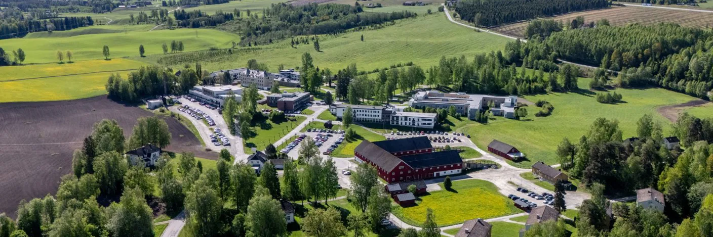 A large green landscape with buildings and trees