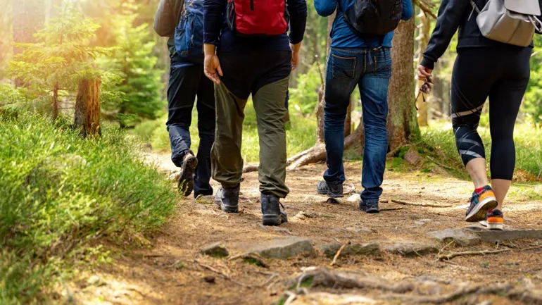 En gruppe mennesker går på en sti i skogen