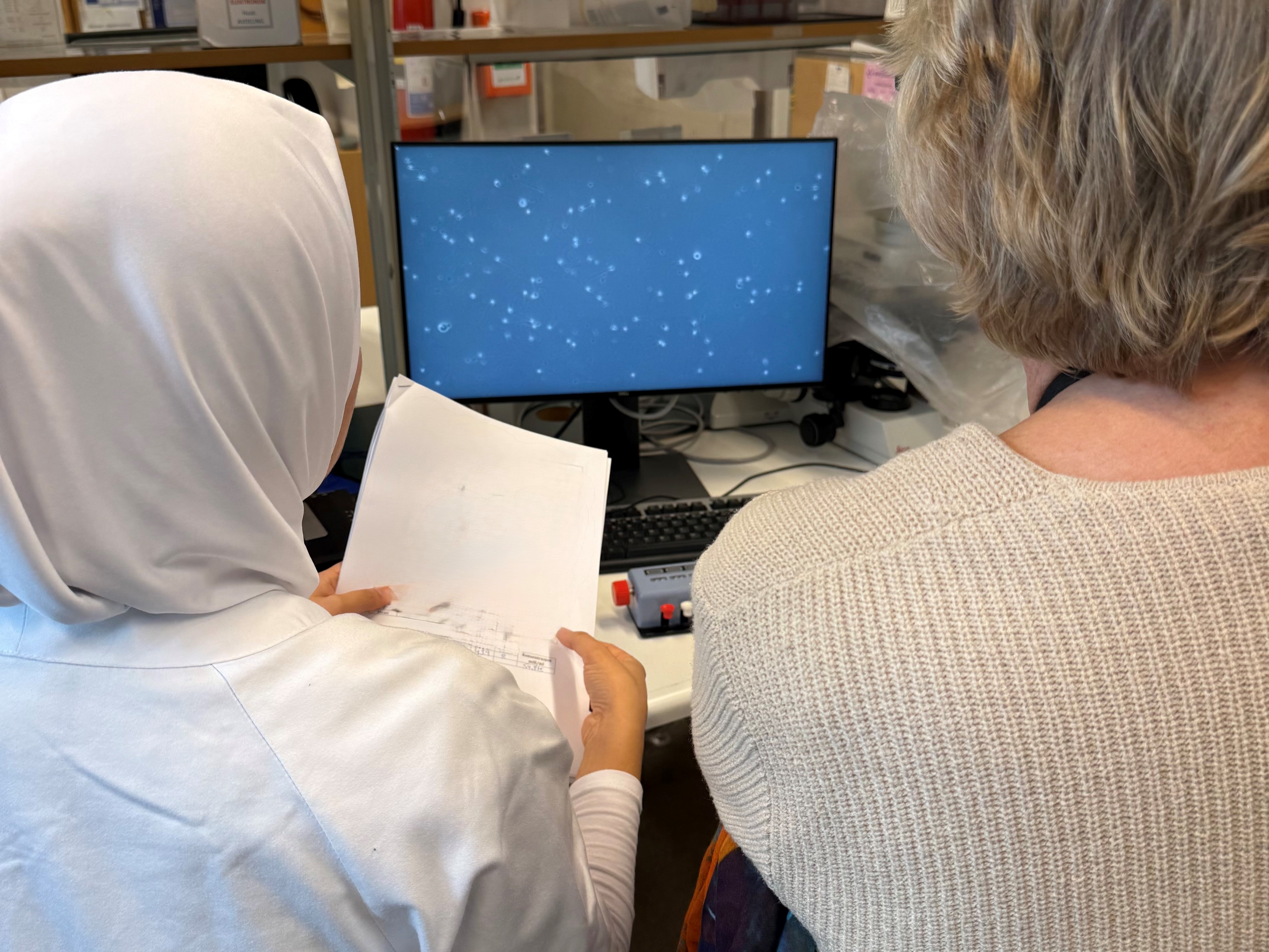 En lege og en pasient